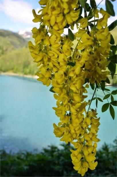 Casa Maia Leilighet La Spezia Rom bilde